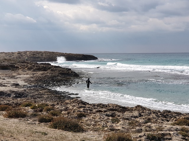 שמורת דור הבונים- מושלמת לכל עונות השנה