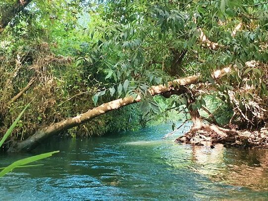 קמפינג בצפון- קיאקים, בניאס ואף מילה על קורונה