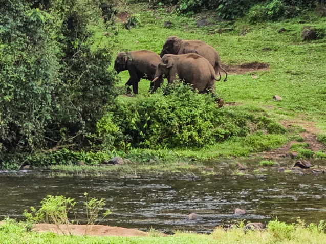 טיול בהודו עם ילדים