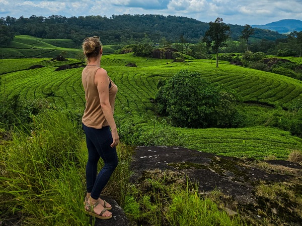 שדות התה טיול במונאר