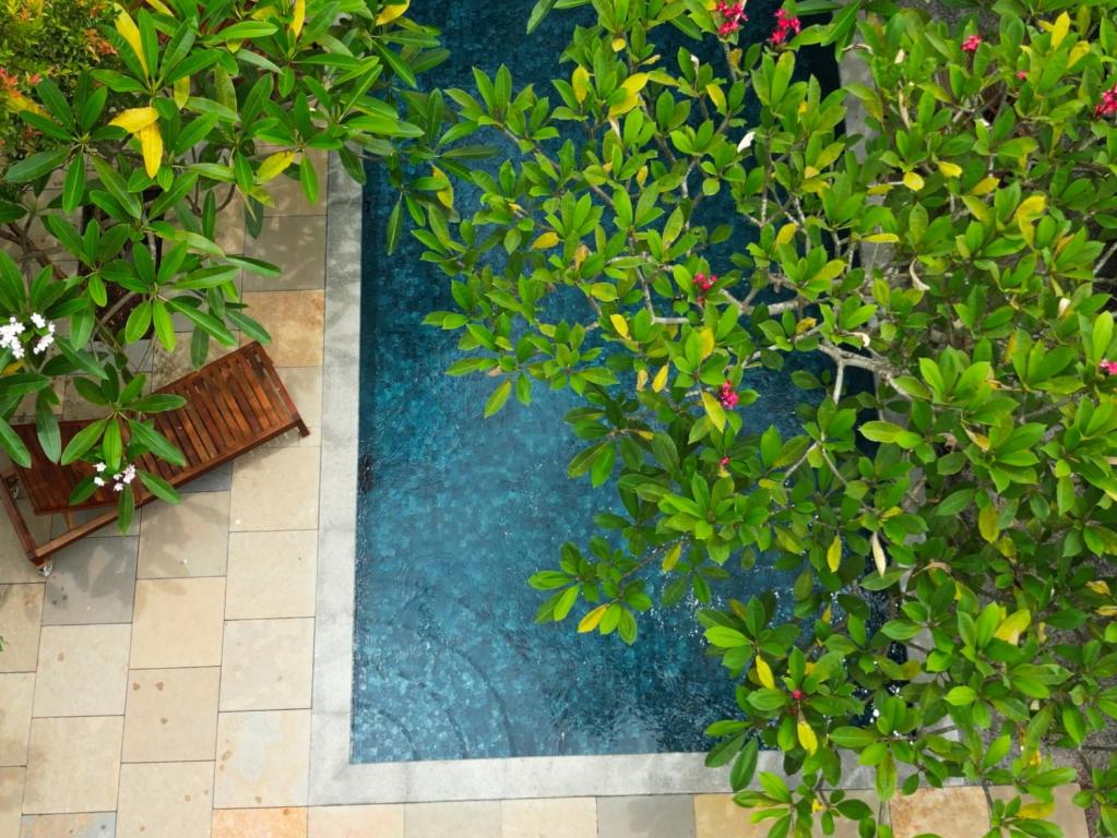 מקום לינה מומלץ ורקלה, דרום הודו