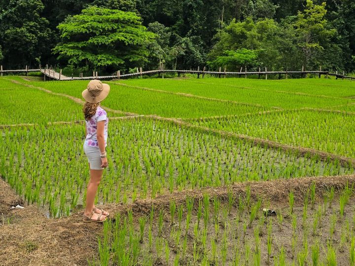 צפון תאילנד עם ילדים
